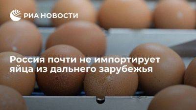 Страны дальнего зарубежья почти не экспортируют пищевые яйца в Россию - smartmoney.one - Норвегия - Россия - Англия - Армения - Италия - Белоруссия - Турция - Германия - Бразилия - Венгрия - Швеция - Канада - Монголия - Марокко