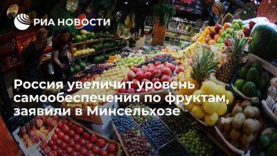 Андрей Разин - Минсельхоз: Россия в 2023 году увеличит самообеспечение по фруктам и ягодам - smartmoney.one - Россия
