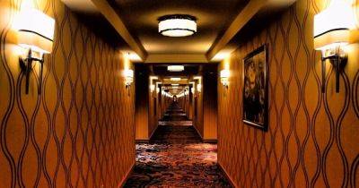Стивен Кинг - Гарри Поттер - "Лучше бы не видели": туристы нашли в номере отеля секретный вход в тайные комнаты (видео) - focus.ua - Украина