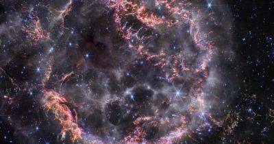 Джеймс Уэбб - Телескоп NASA обнаружил "ребенка" сверхновой: новые особенности известного взрыва (фото) - focus.ua - Украина