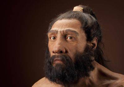 Почему вымерли неандертальцы – ученые выдвинули новую гипотезу гибели неандертальцев - apostrophe.ua - Россия - Украина - Германия - Европа
