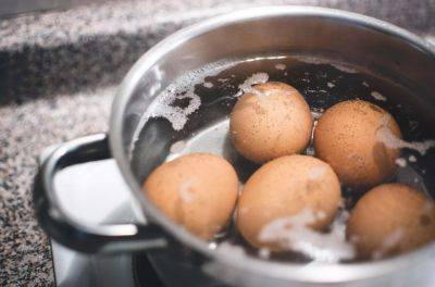 Хитрость настоящих хозяек: для чего при варке яиц в воду бросают зубочистку - hyser.com.ua - Украина