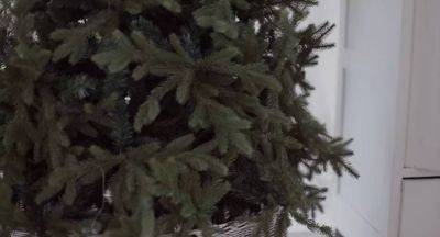 Новогодняя елка может вспыхнуть: 5 ошибок, которые обернутся праздничной бедой - politeka.net - Украина