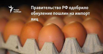 Андрей Белоусов - Правительство РФ одобрило обнуление пошлин на импорт яиц - svoboda.org - Россия