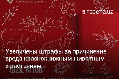 Увеличены штрафы за причинение вреда краснокнижным животным и растениям - gazeta.uz - Узбекистан - Экология