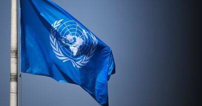 Вторая волна выплат от ООН: кому продлят помощь в 2024 году - focus.ua - Россия - Украина