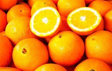 Зачем разогревать апельсины в микроволновке? - charter97.org - Белоруссия