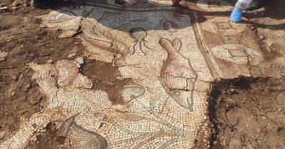 Едва не уничтожили вандалы: археологи нашли уникальную мозаику римских времен (фото) - focus.ua - Украина - Турция - Рим - Находка