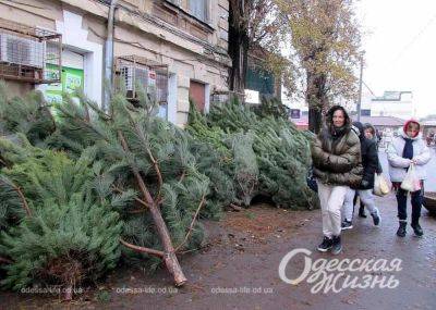 Прогноз погоды в Одессе на 15 декабря | Новости Одессы - odessa-life.od.ua - Украина - Одесса