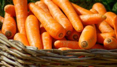 Морковь, картошка и свекла, с тобой мы больше не друзья: в чем вред корнеплодов и кому нельзя их потреблять - ukrainianwall.com - Украина