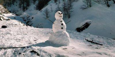 Возле дома. На Волыни парень слепил 6-метрового снеговика - nv.ua - Украина