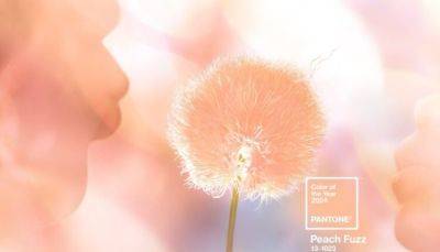 Pantone назвал цветом 2024 года «персиковый пух» - fokus-vnimaniya.com - Новости