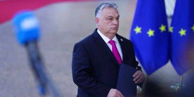 Виктор Орбан - Правильное решение — выйти. Постпред Литвы в Евросоюзе резко раскритиковал позицию Орбана в ЕС касательно Украины - nv.ua - Россия - Украина - Молдавия - Грузия - Венгрия - Литва - Босния и Герцеговина