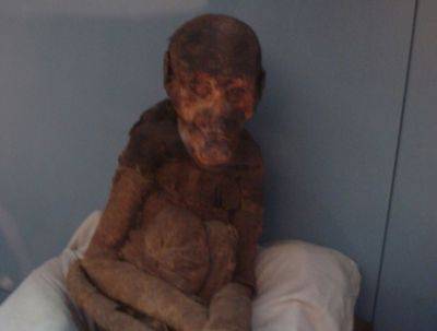 Загадочные мумии бабуинов пролили свет на историю Древнего Египта - obzor.lt - Бельгия - Египет - Судан - Брюссель - Эритрея - Эфиопия - Сомали