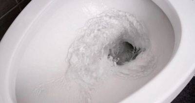 Ответ не так очевиден: как часто должны мыть туалет хорошие хозяйки? - cxid.info