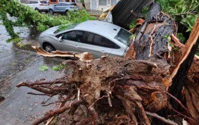 В Буэнос-Айресе ураган сломал символ города - korrespondent.net - Украина - Киев - Пекин - Аргентина - Буэнос-Айрес