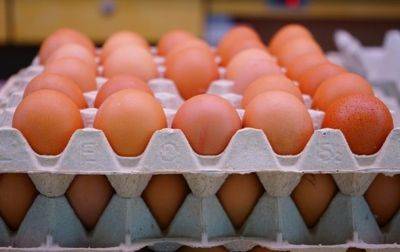 Андрей Слепнев - РФ планирует импортировать куриные яйца из Ирана - korrespondent.net - Россия - Украина - Турция - Иран