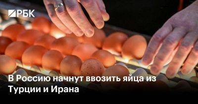 Андрей Слепнев - В Россию начнут ввозить яйца из Турции и Ирана - smartmoney.one - Россия - Армения - Казахстан - Белоруссия - Турция - Киргизия - Иран - Азербайджан