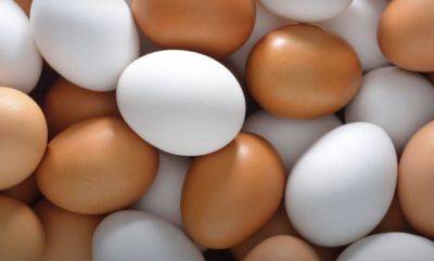Держитесь от этих коробок подальше: названы яйца, которые лучше не покупать в магазине - hyser.com.ua - Украина