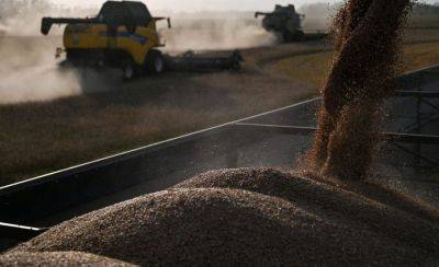 Не подрывайте нашу экономику! Ассоциация просит не запрещать транзит российского зерна через Латвию - obzor.lt - Россия - Украина - Латвия - Ес