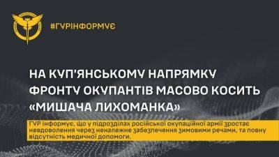 «Мышиная лихорадка» «косит» россиян на Купянщине – ГУР - objectiv.tv - Россия - Украина