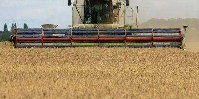 Молдавские фермеры требуют ограничить импорт зерна и масла из Украины - nv.ua - Украина - Молдавия - Румыния - Запрет