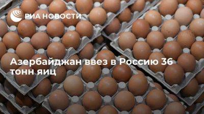 Дмитрий Патрушев - В Россию ввезли первую партию азербайджанских яиц — 36 тонн - smartmoney.one - Россия - Турция - Азербайджан