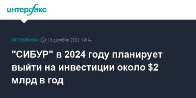 Александр Петров - "СИБУР" в 2024 году планирует выйти на инвестиции около $2 млрд в год - smartmoney.one - Москва