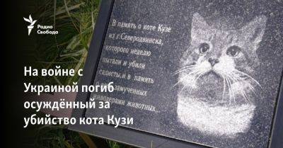 На войне с Украиной погиб осуждённый за убийство кота Кузи - svoboda.org - Украина - Северодвинск