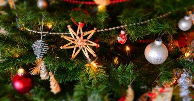 Никогда так не делайте: эксперт поделилась секретами, как правильно украшать рождественскую елку - focus.ua - Украина - штат Арканзас