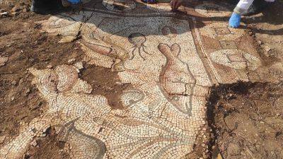 Археологи нашли в Турции уникальную мозаику римской эпохи - фото - apostrophe.ua - Украина - Турция - Испания
