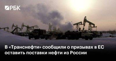 Николай Токарев - В «Транснефти» сообщили о призывах в ЕС оставить поставки нефти из России - smartmoney.one - Россия - Чехия - Словакия - Ес