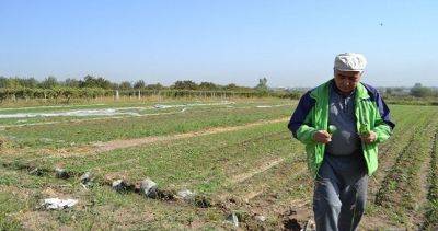 Истории таджикских фермеров, получивших финансирование от АБР для поддержки производства продуктов питания - dialog.tj - Россия - Таджикистан