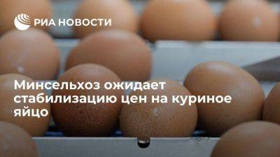 Владимир Путин - Дмитрий Патрушев - Минсельхоз ожидает стабилизацию цен на куриное яйцо после Нового года - smartmoney.one - Россия - Турция - Азербайджан