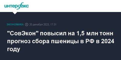 "СовЭкон" повысил на 1,5 млн тонн прогноз сбора пшеницы в РФ в 2024 году - smartmoney.one - Москва - Россия