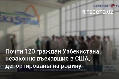 Почти 120 граждан Узбекистана, незаконно въехавшие в США, депортированы на родину - gazeta.uz - США - Узбекистан - Мексика - Ташкент