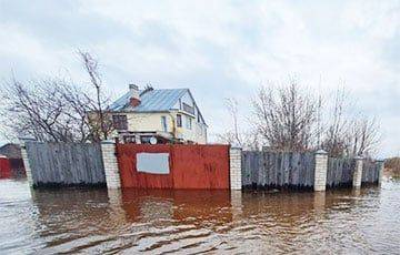 В Гомельской области талые воды затопили четыре района - charter97.org - Белоруссия - Светлогорск - Гомель - район Гомельский - Гомельская обл.