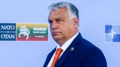 Петр Порошенко - Виктор Орбан - Орбан покритиковал решение не пускать Порошенко в Венгрию - pravda.com.ua - Украина - Киев - Венгрия - Ес