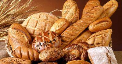 Какой хлеб лучше выбрать: разницу между белым и цельнозерновым объяснили ученые - focus.ua - Украина