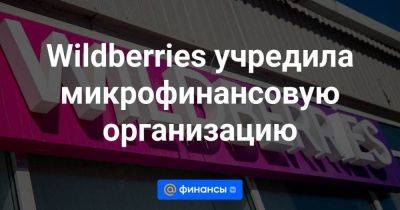 Wildberries учредила микрофинансовую организацию - smartmoney.one