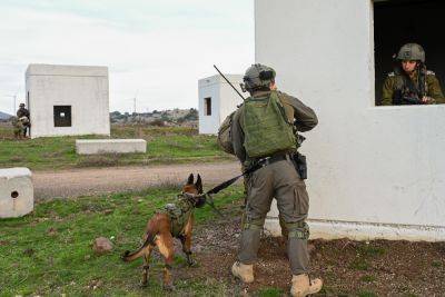 ЦАХАЛ показал, как действуют в туннелях собаки подразделения «Окец» - news.israelinfo.co.il