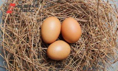 Сергей Юшин - Россиянам заявили, что с высокими ценами на яйца придется смириться - smartmoney.one - Москва - Россия