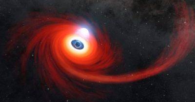 Загадка центральной черной дыры Млечного Пути: каким образом рядом с ней появились звезды - focus.ua - Украина - Нью-Йорк