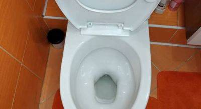 Как избавиться от неприятного запаха в туалете: поможет подручное средство - politeka.net - Украина