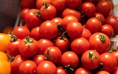 Хватит и на консервацию, и на томатный сок, и на угощение: как при помощи дрожжей увеличить урожай помидоров - hyser.com.ua - Украина