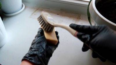 Не зря так делали бабульки в селе: для чего хитрые хозяйки смешивают зубную пасту с хозяйственным мылом - hyser.com.ua - Украина