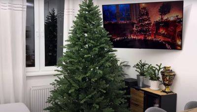 Не вздумайте выбрасывать: что делать с новогодней елкой после праздников - hyser.com.ua - Украина