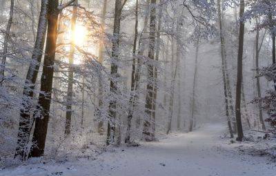 Погода в Украине – какой будет погода в январе – прогноз по городам - apostrophe.ua - Украина