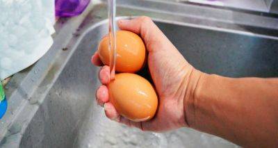 Никогда не мойте яйца перед приготовлением: советы экспертов - cxid.info