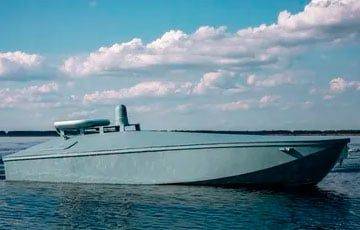 Василий Малюк - Не только Sea Baby: в СБУ впервые показали новый морской дрон «Мамай» - charter97.org - Украина - Белоруссия